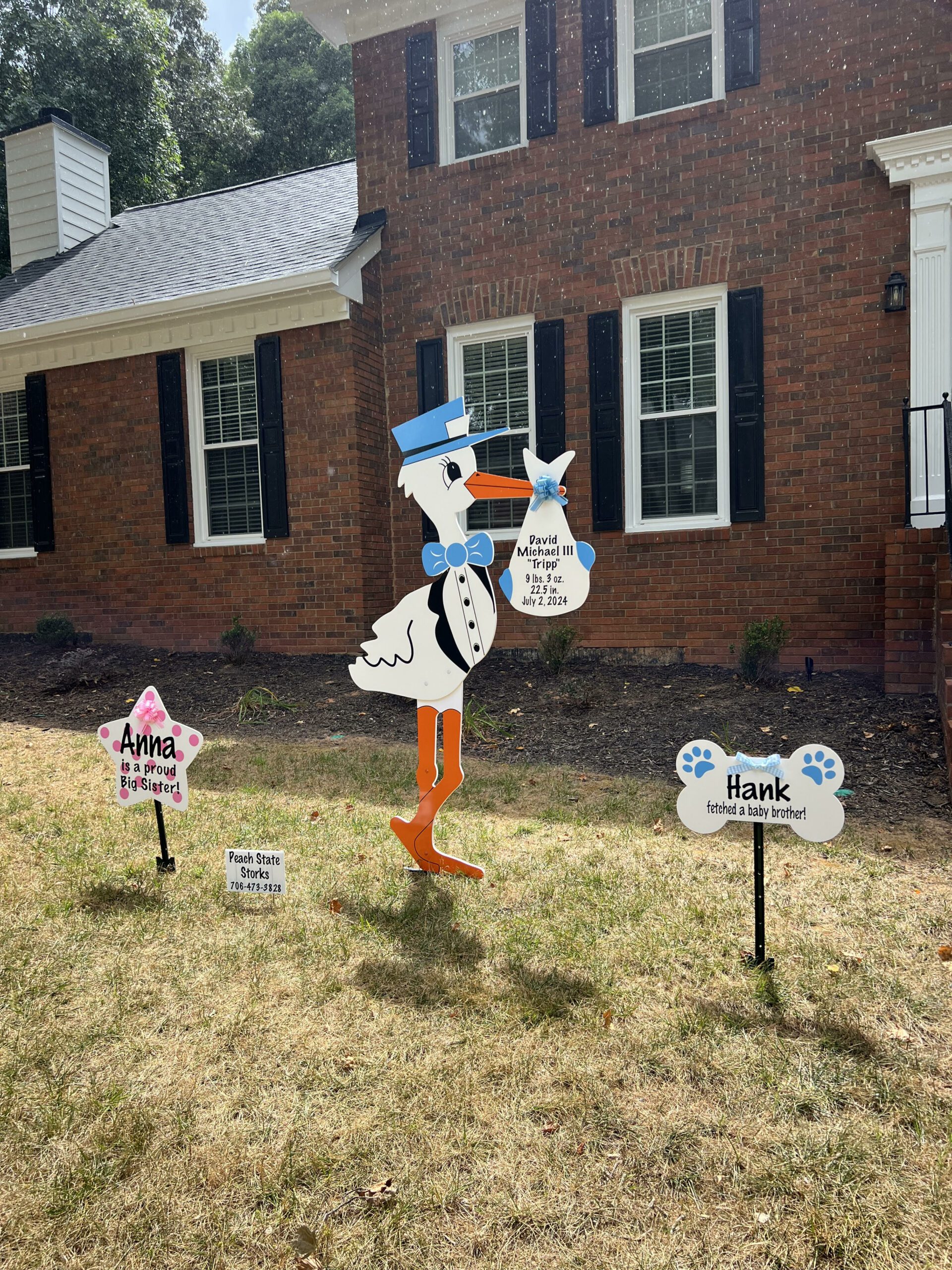 Birth Announcement Stork Sign in Peachtree Corners, GA