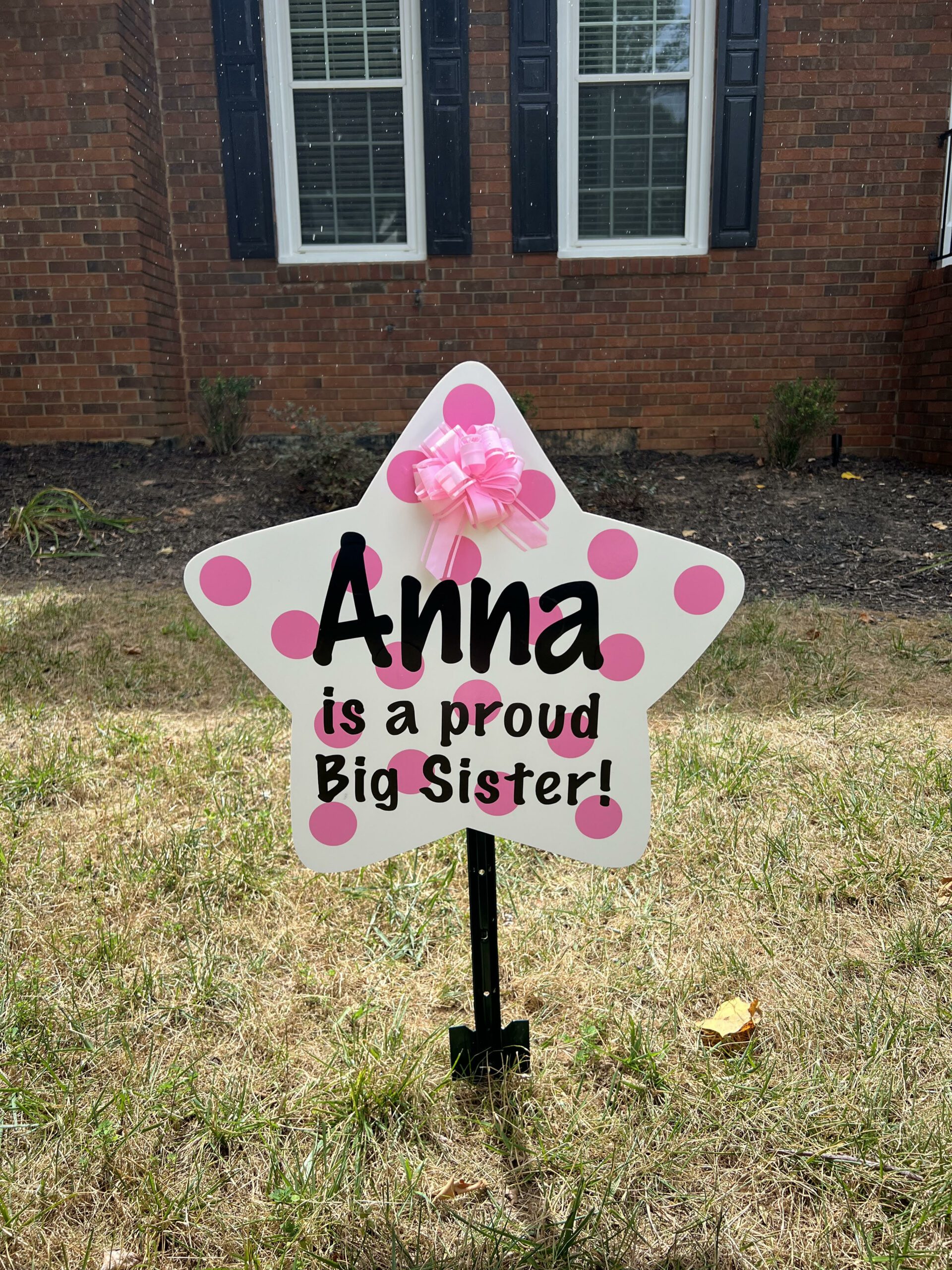 Sibling Star Birth Announcement Sign in Peachtree Corners, GA