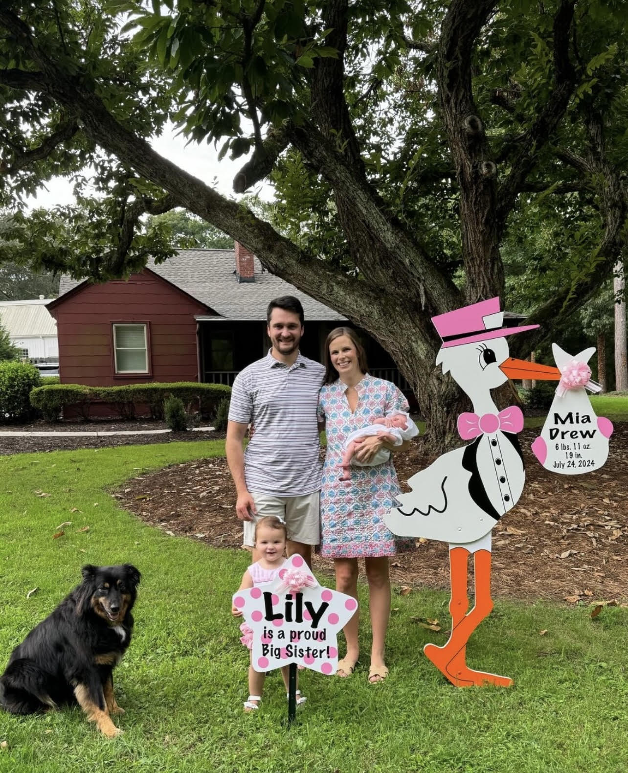 Birth Announcement Stork Sign in Milton, GA