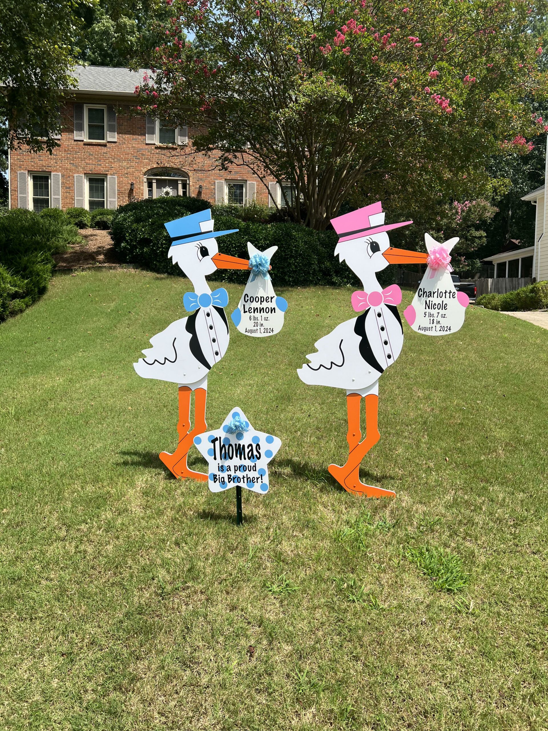 Twin Birth Announcement Stork Signs in Marietta, GA