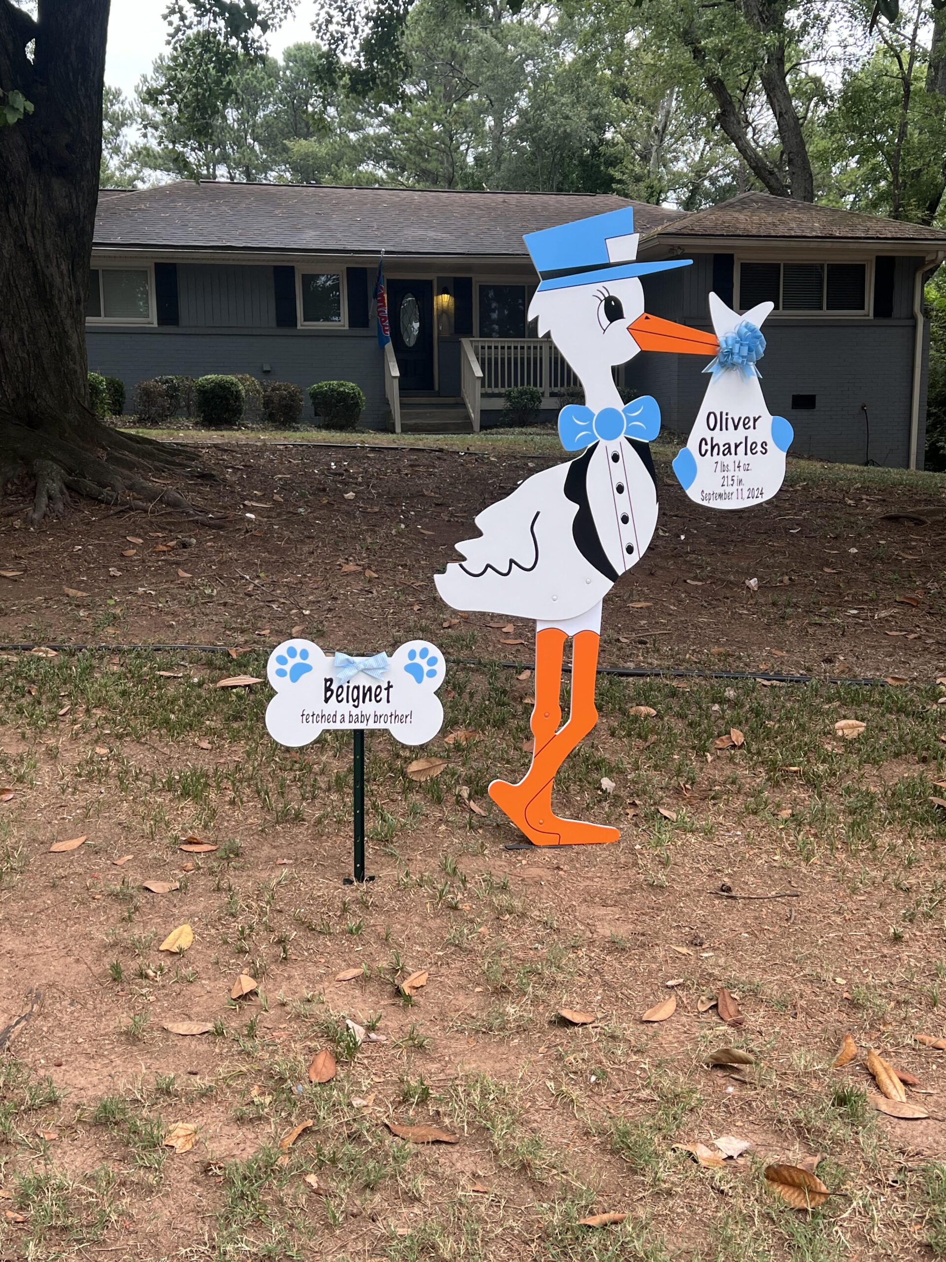 Birth Announcement Stork Sign in Sandy Springs, GA