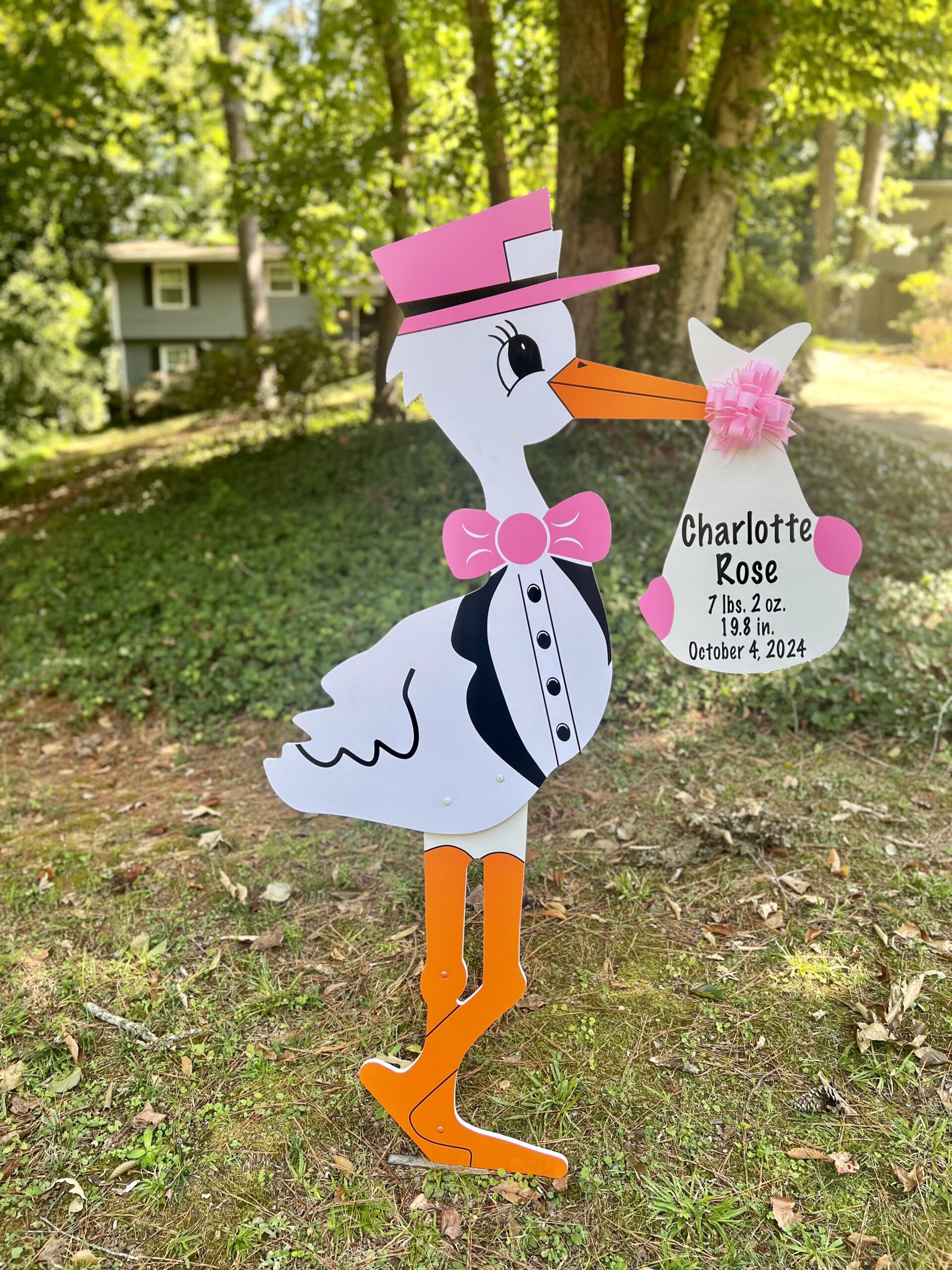 Birth Announcement Stork Sign in Chamblee, GA