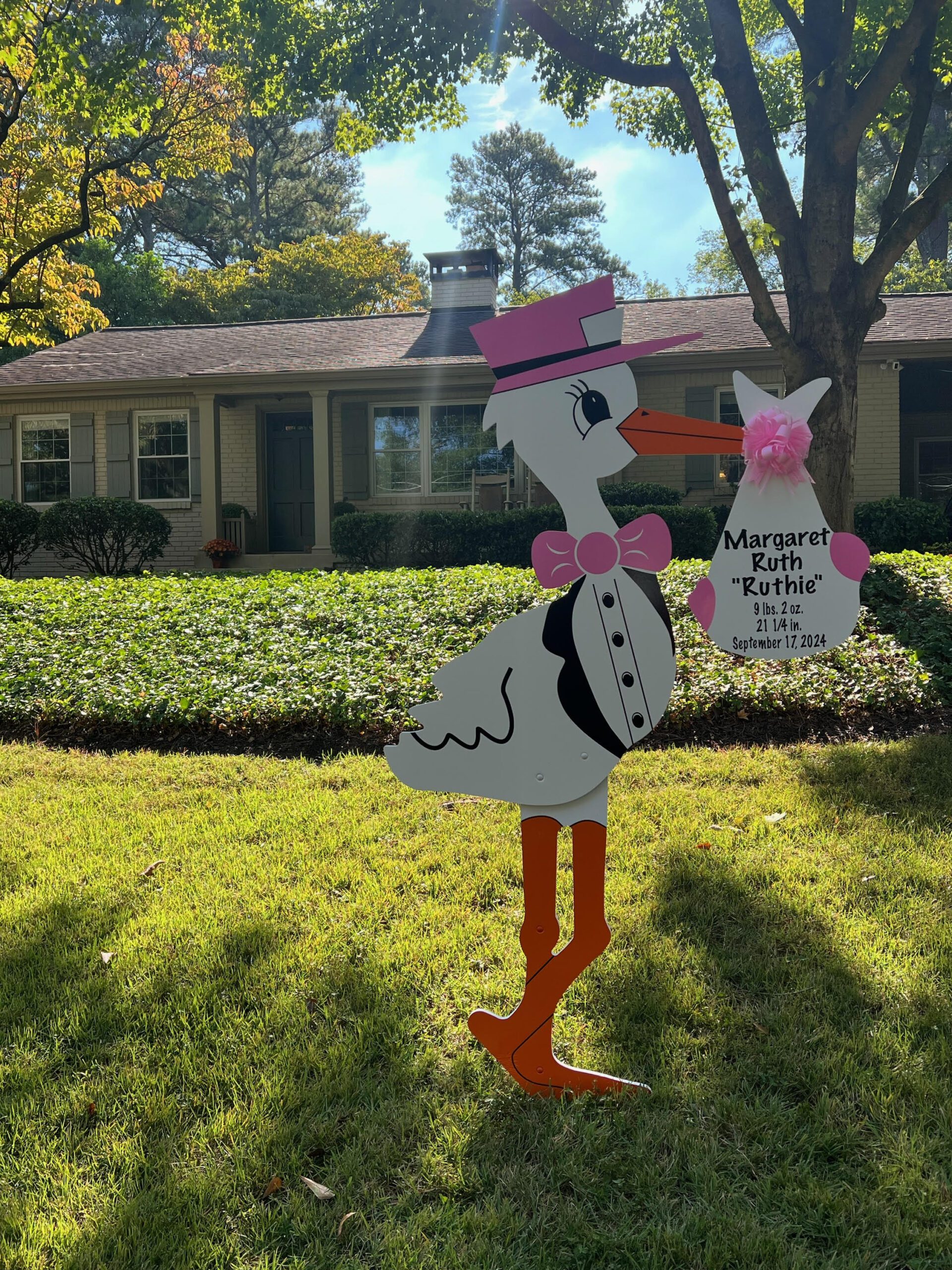 Birth Announcement Stork Sign in Atlanta, GA