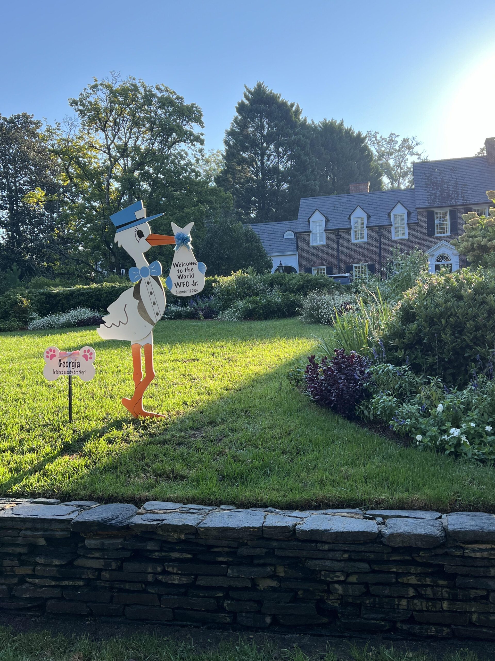 Birth Announcement Stork Sign in Atlanta, GA