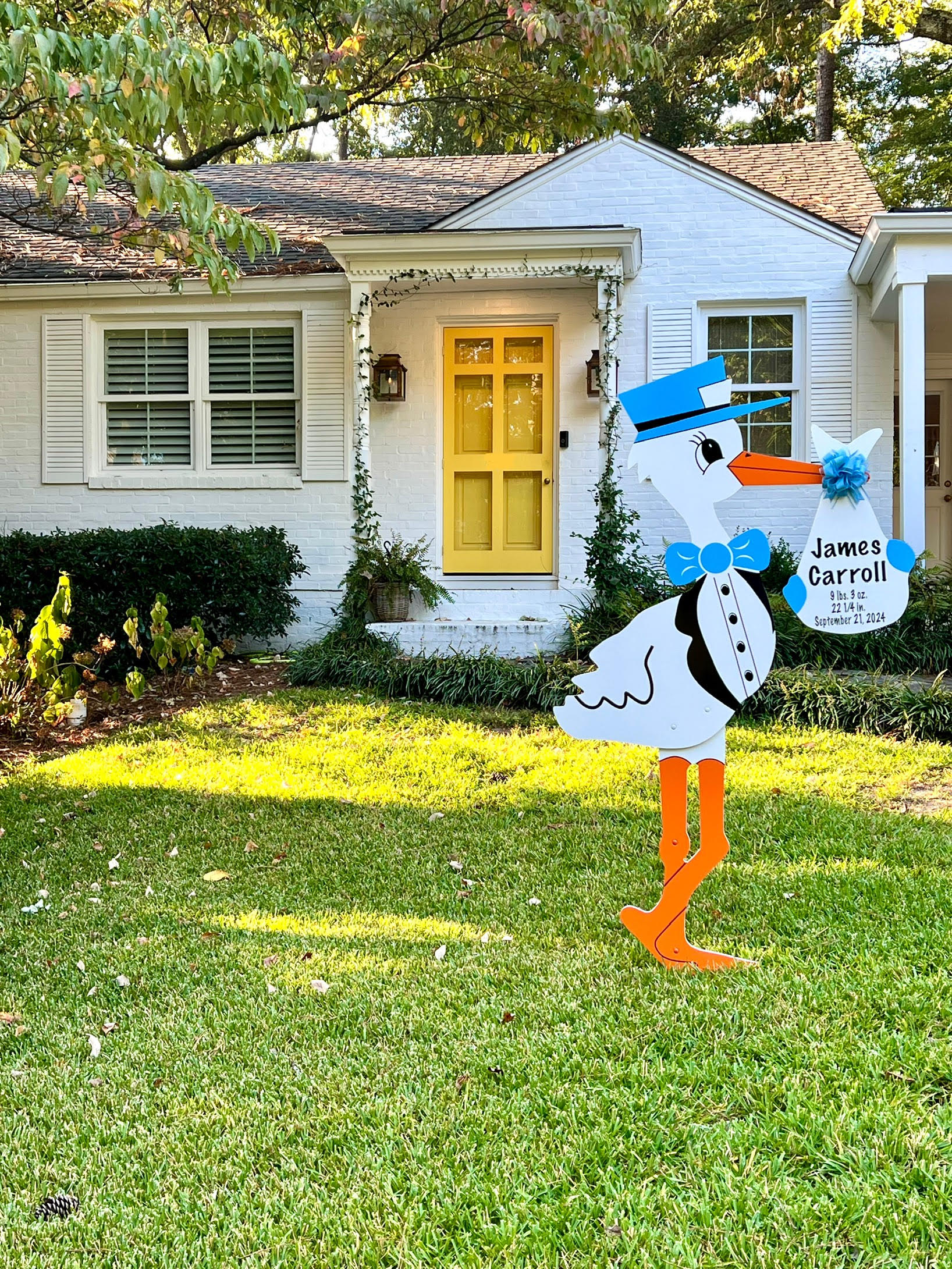 Birth Announcement Stork Sign in Atlanta, GA