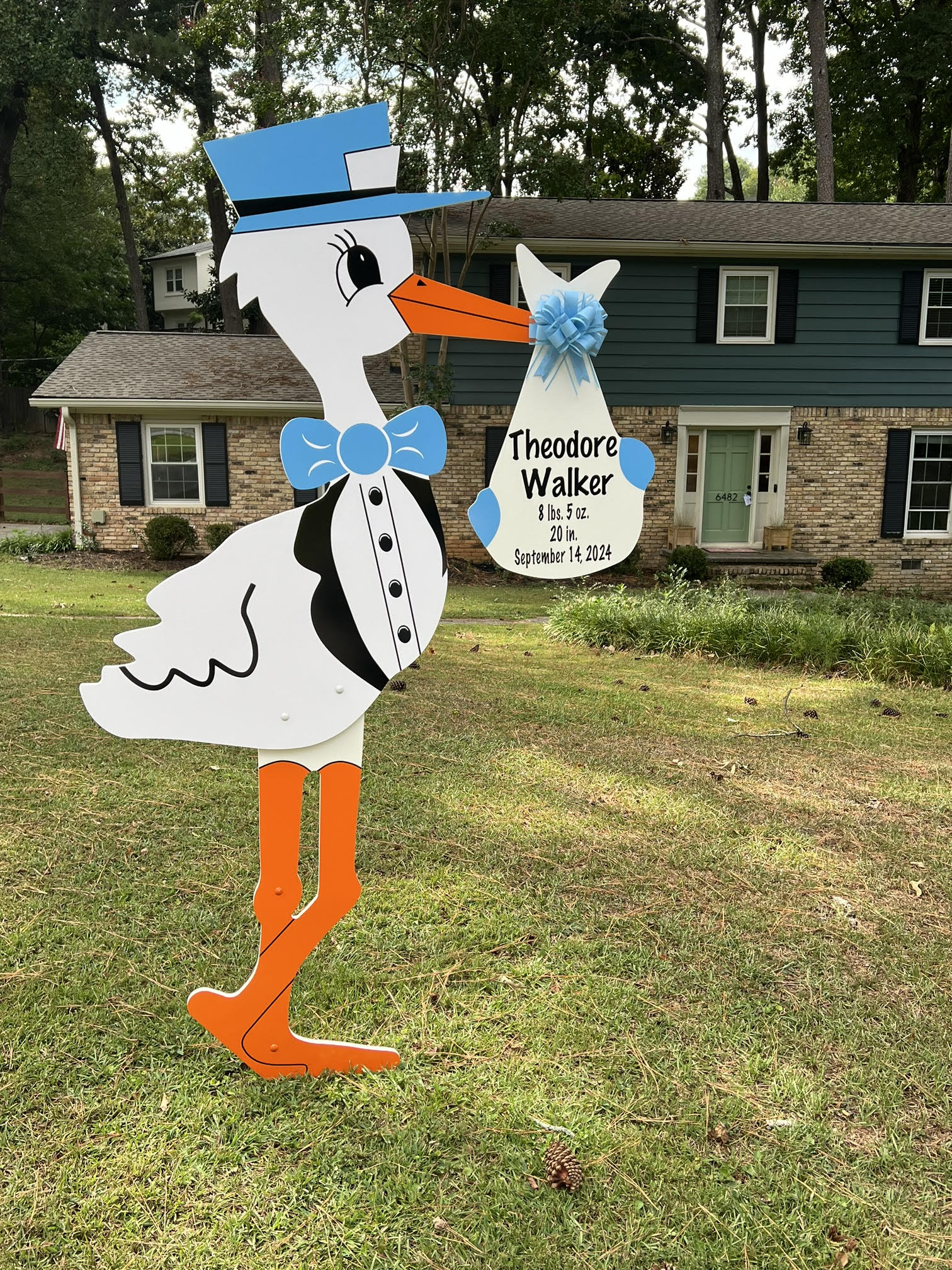 Birth Announcement Stork Sign in Sandy Springs, Georgia