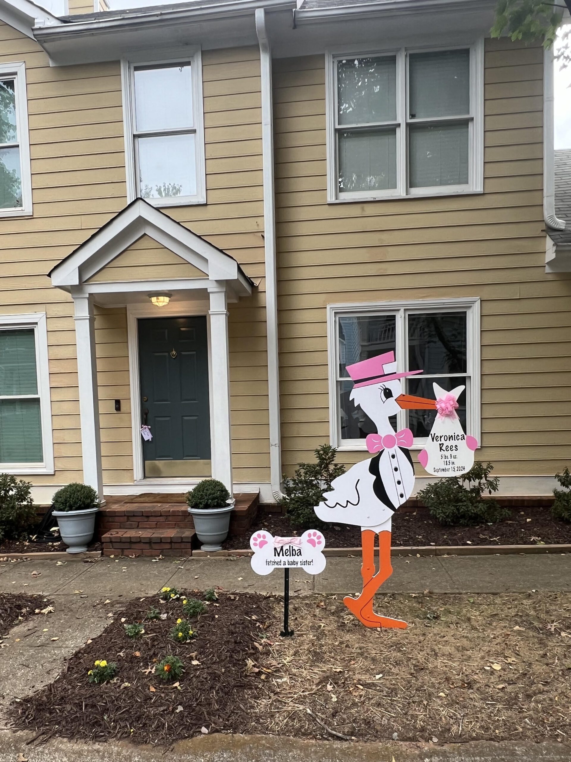 Birth Announcement Stork Sign in Decatur, GA