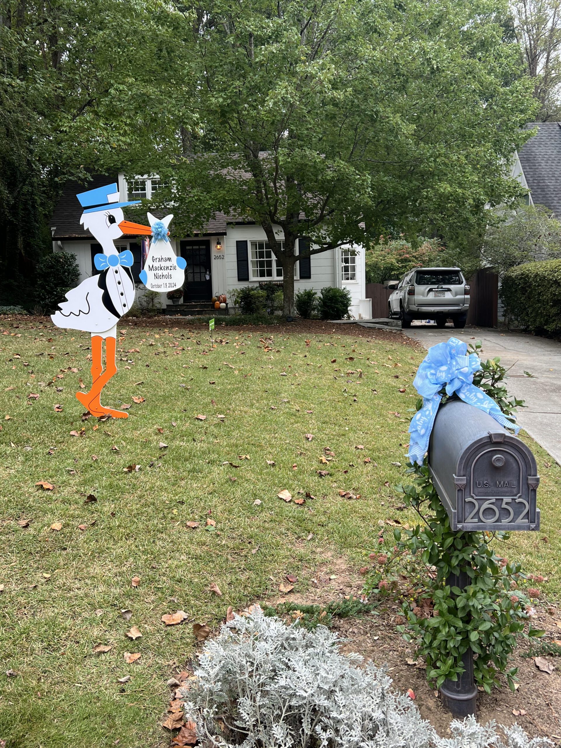 Birth Announcement Stork Sign in Atlanta, GA