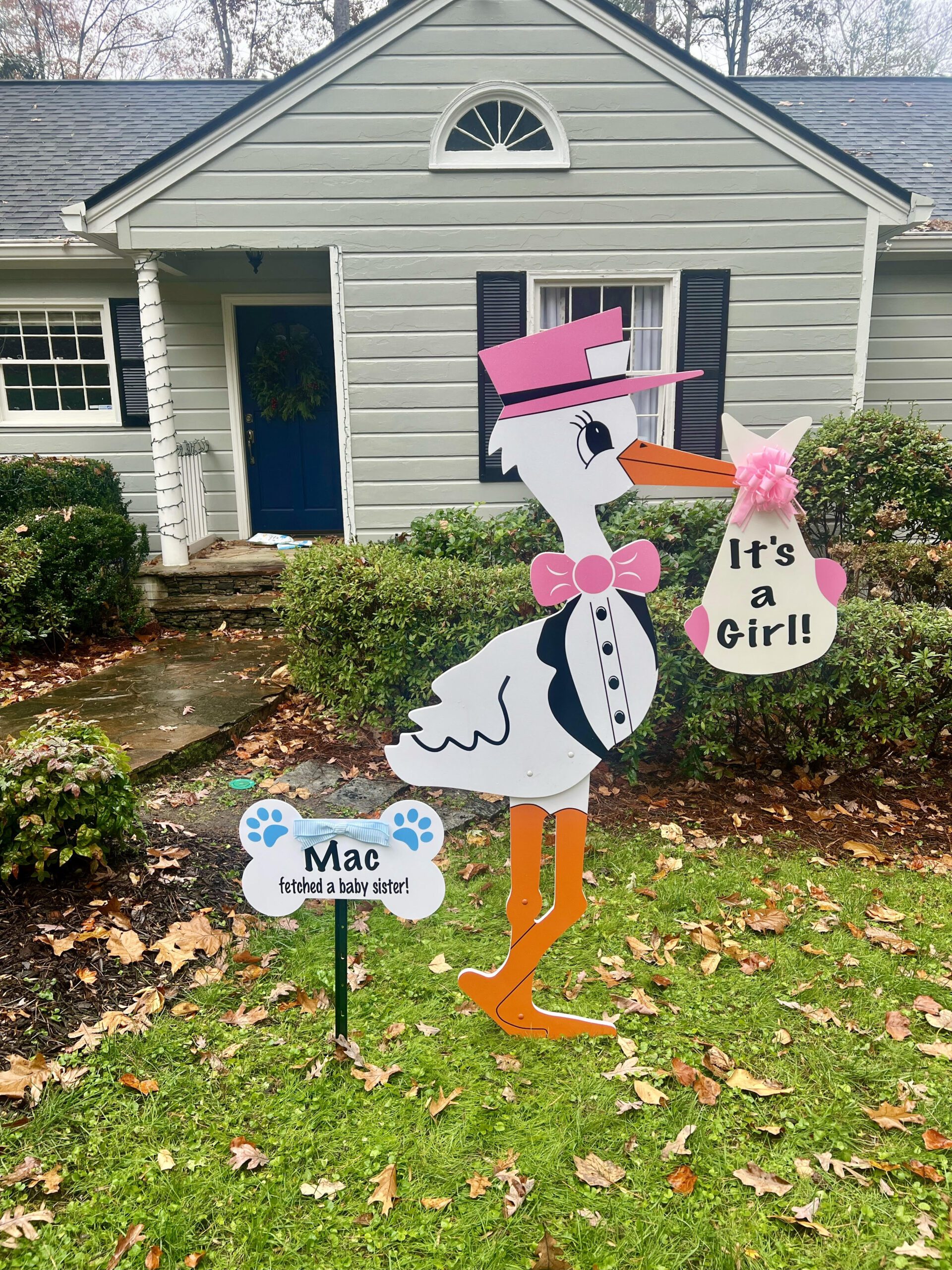 Birth Announcement Stork Sign in Atlanta, GA