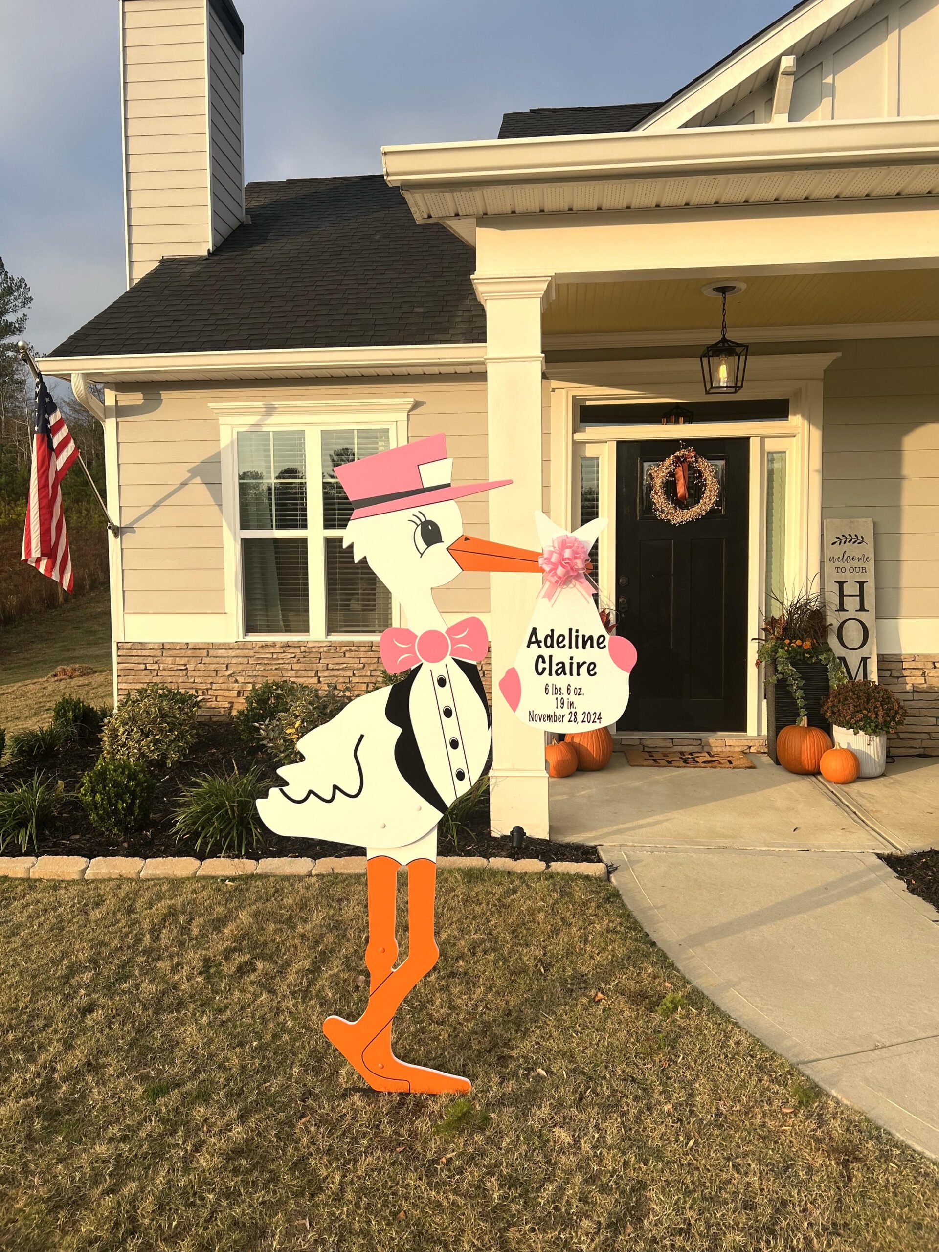 Birth Announcement Stork Sign in Dallas, GA